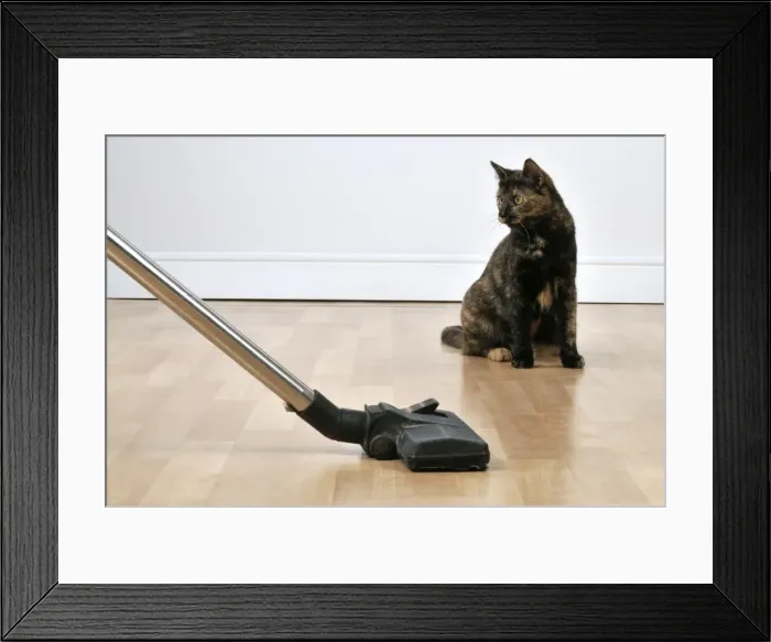 Framed Print : Picture No. 10747194 Framed Print : Picture No. 10747194