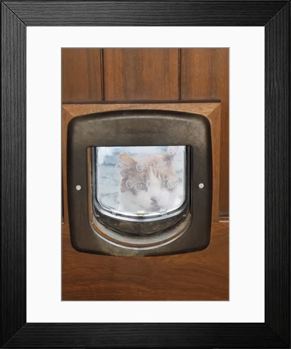 Framed Print : Picture No. 10747207 Framed Print : Picture No. 10747207