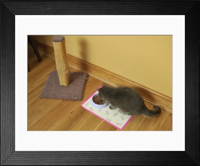 Framed Print : Picture No. 10747218