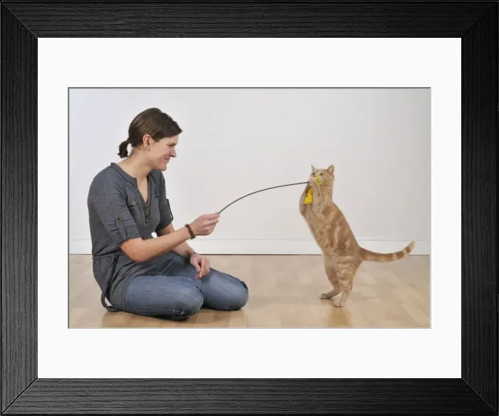 Framed Print : Picture No. 10747220 Framed Print : Picture No. 10747220