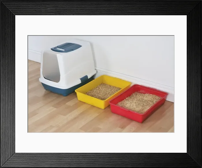 Framed Print : Picture No. 10747219 Framed Print : Picture No. 10747219