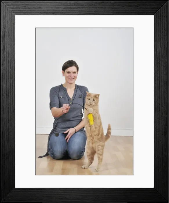 Framed Print : Picture No. 10747221 Framed Print : Picture No. 10747221