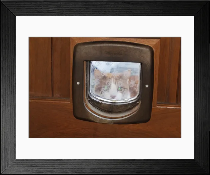 Framed Print : Picture No. 10747206 Framed Print : Picture No. 10747206