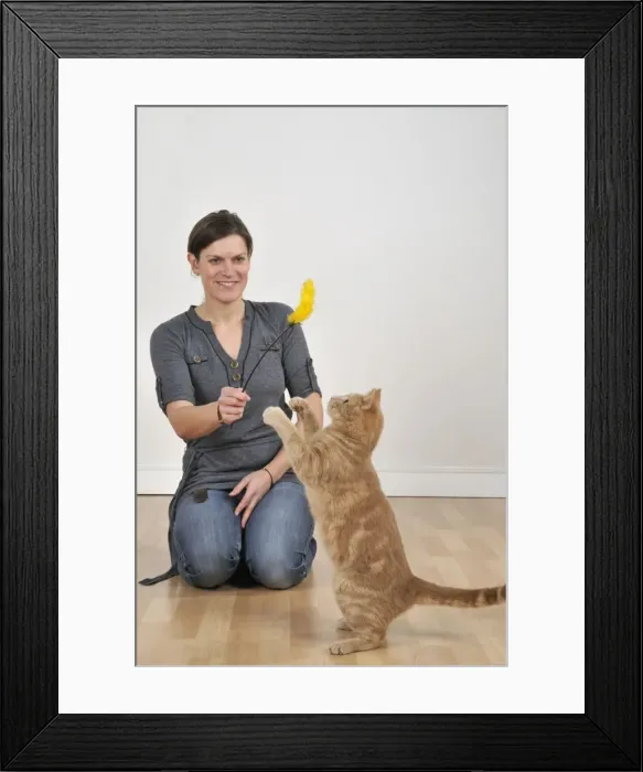 Framed Print : Picture No. 10747222 Framed Print : Picture No. 10747222