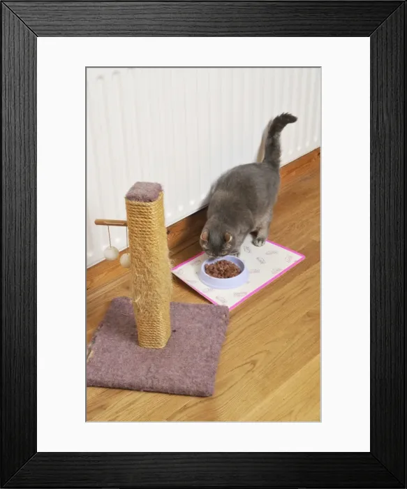 Framed Print : Picture No. 10747217 Framed Print : Picture No. 10747217
