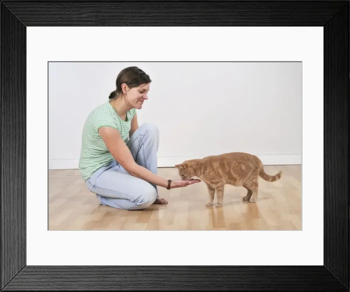 Framed Print : Picture No. 10747226