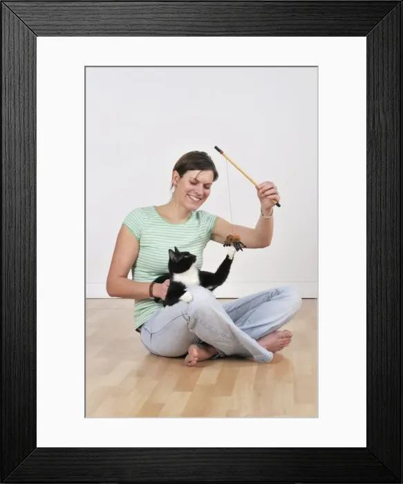 Framed Print : Picture No. 10747225 Framed Print : Picture No. 10747225