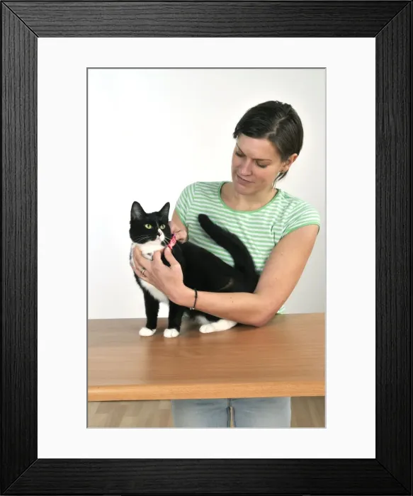 Framed Print : Picture No. 10747230 Framed Print : Picture No. 10747230