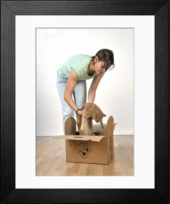 Framed Print : Picture No. 10747234 Framed Print : Picture No. 10747234