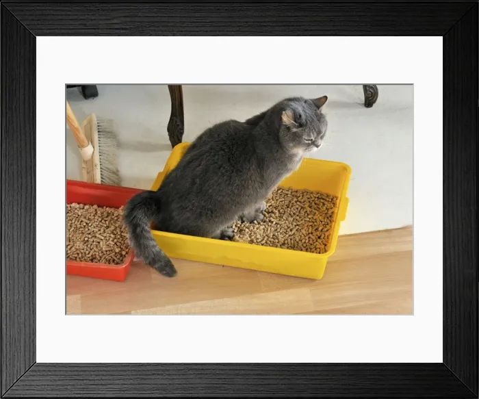 Framed Print : Picture No. 10747236 Framed Print : Picture No. 10747236