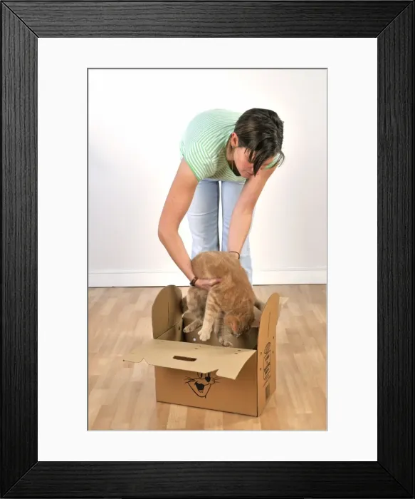 Framed Print : Picture No. 10747233 Framed Print : Picture No. 10747233