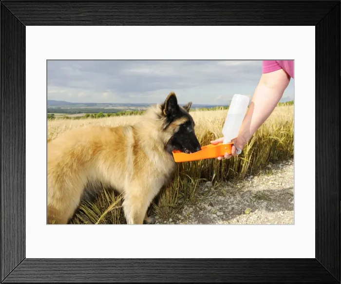 Framed Print : Picture No. 10747547 Framed Print : Picture No. 10747547