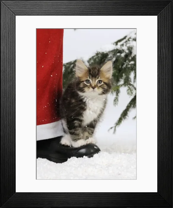 Framed Print : Picture No. 10747887 Framed Print : Picture No. 10747887