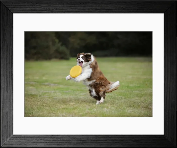 Framed Print : Picture No. 10747920 Framed Print : Picture No. 10747920