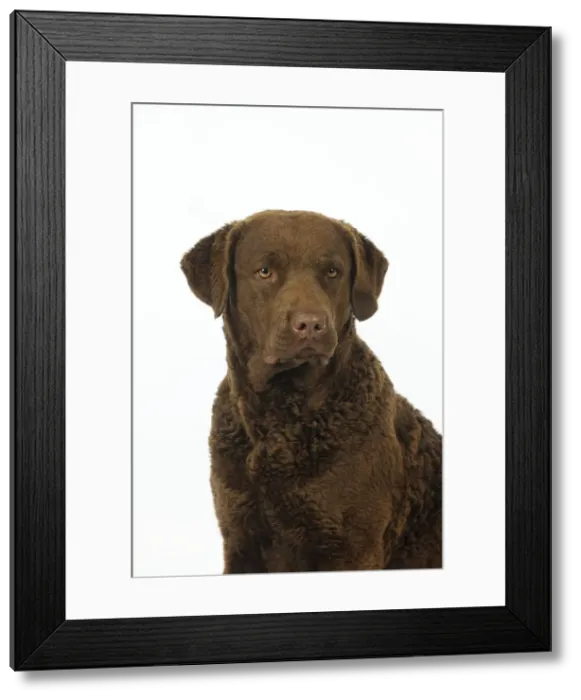 Framed Print : Picture No. 10747953 Framed Print : Picture No. 10747953