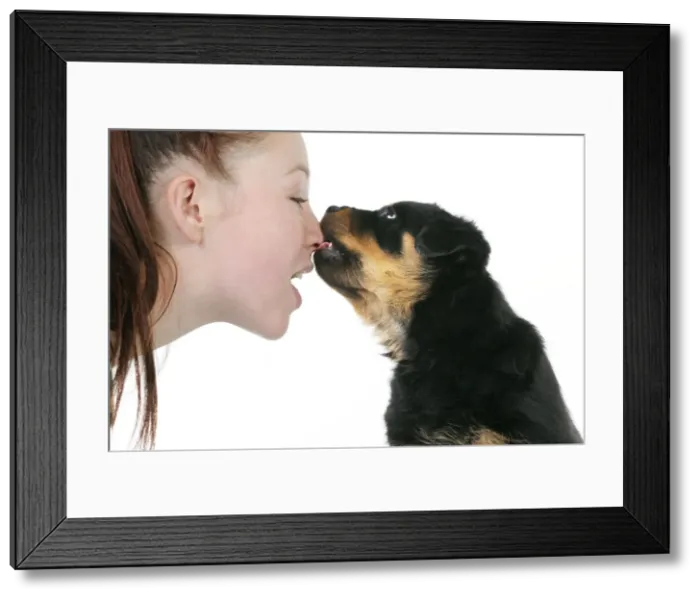 Framed Print : Picture No. 10748444 Framed Print : Picture No. 10748444