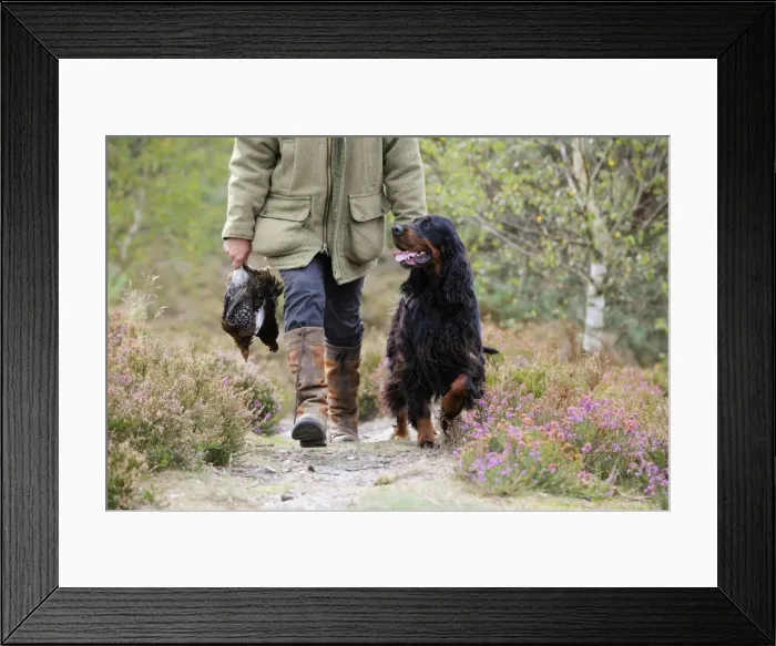Framed Print : Picture No. 10748627 Framed Print : Picture No. 10748627