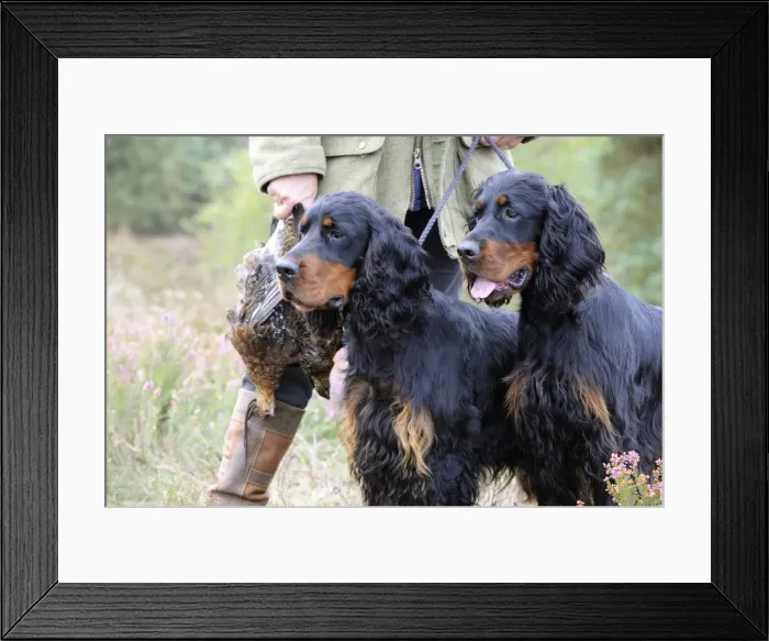 Framed Print : Picture No. 10748628 Framed Print : Picture No. 10748628