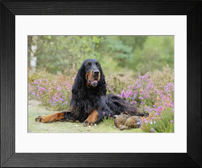 Framed Print : Picture No. 10748624 Framed Print : Picture No. 10748624