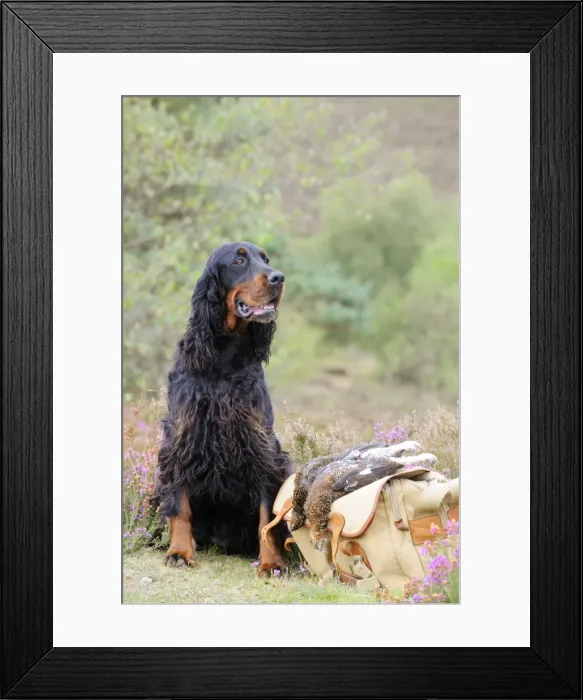 Framed Print : Picture No. 10748625 Framed Print : Picture No. 10748625