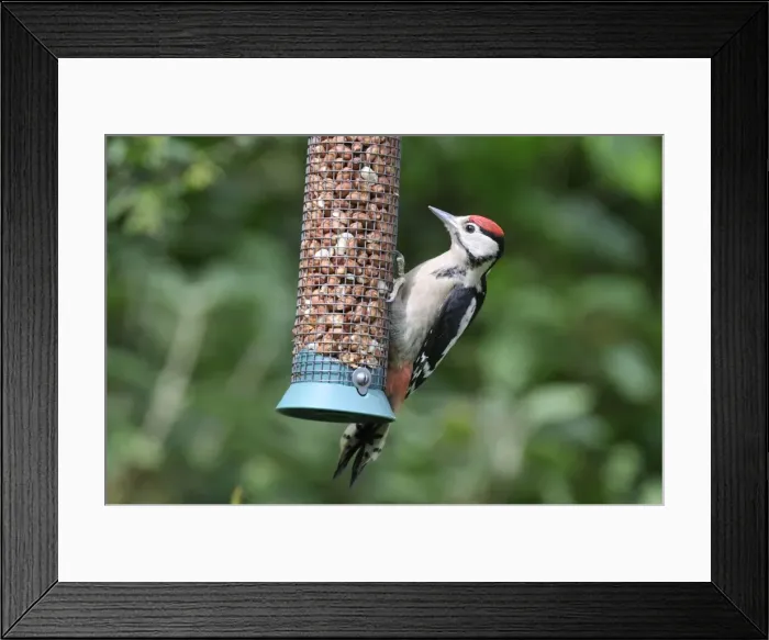 Framed Print : Picture No. 10748910 Framed Print : Picture No. 10748910