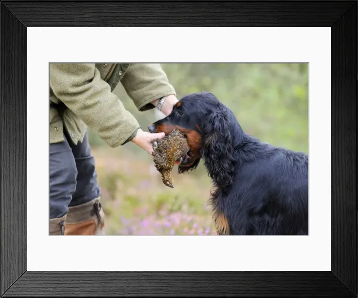 Framed Print : Picture No. 10748626 Framed Print : Picture No. 10748626