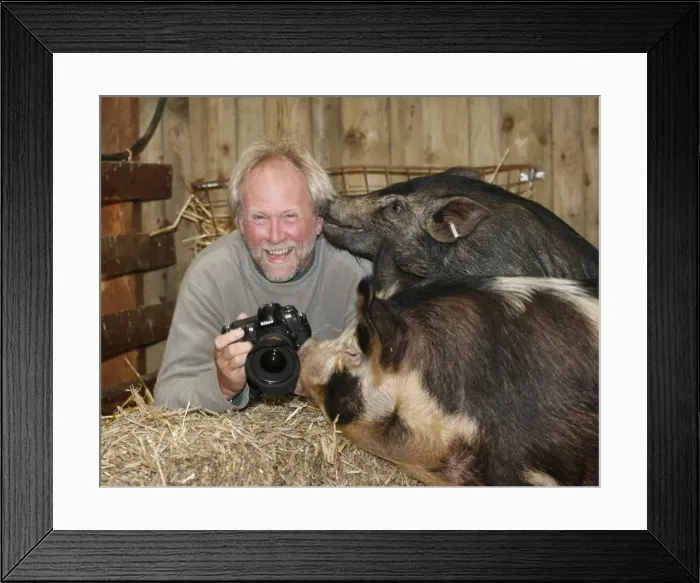 Framed Print : Picture No. 10748955 Framed Print : Picture No. 10748955