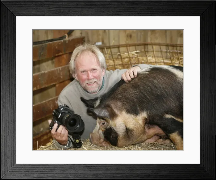 Framed Print : Picture No. 10748957 Framed Print : Picture No. 10748957