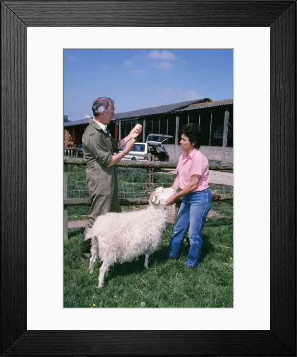 Framed Print : Picture No. 10749824 Framed Print : Picture No. 10749824