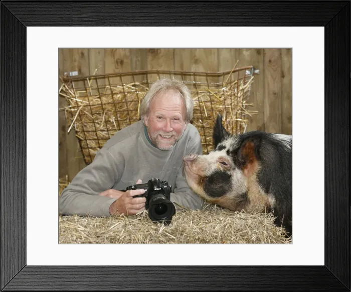 Framed Print : Picture No. 10748956 Framed Print : Picture No. 10748956