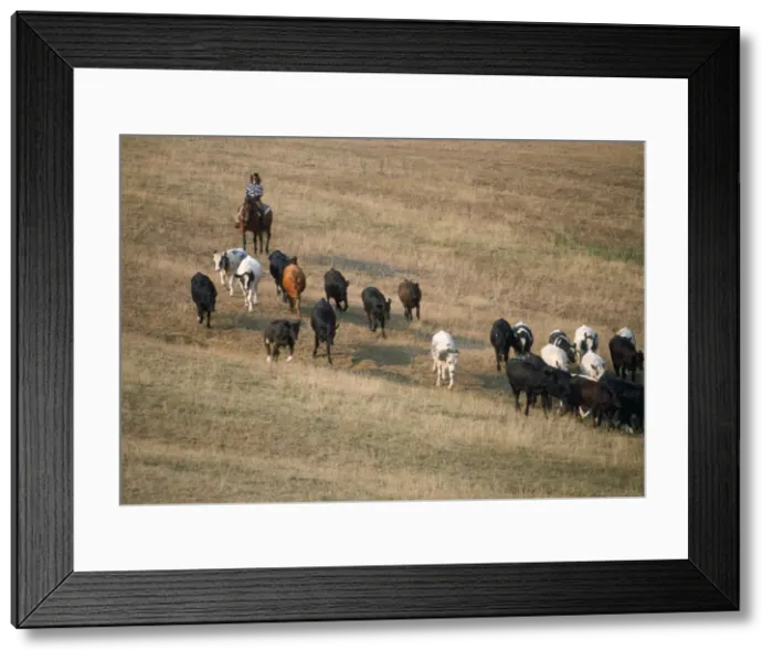 Framed Print : Picture No. 10749762 Framed Print : Picture No. 10749762
