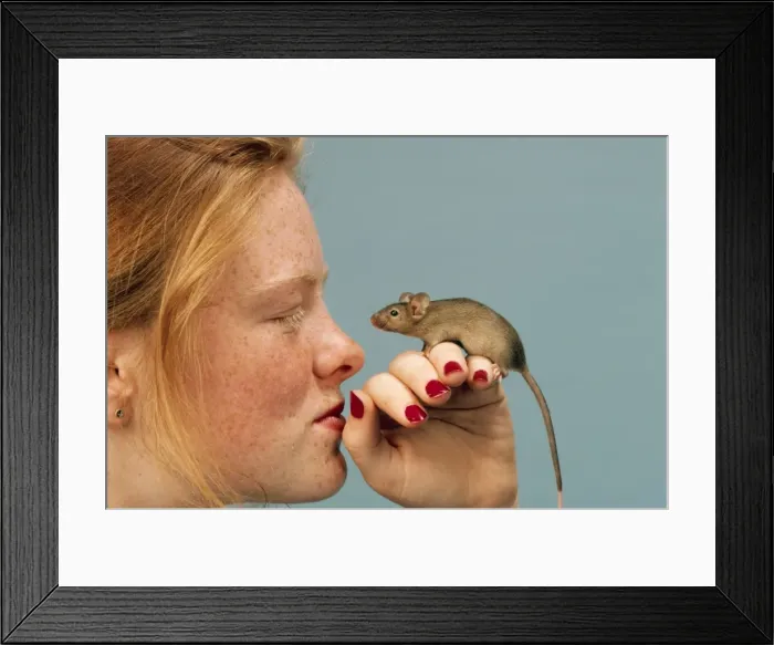 Framed Print : Picture No. 10749795