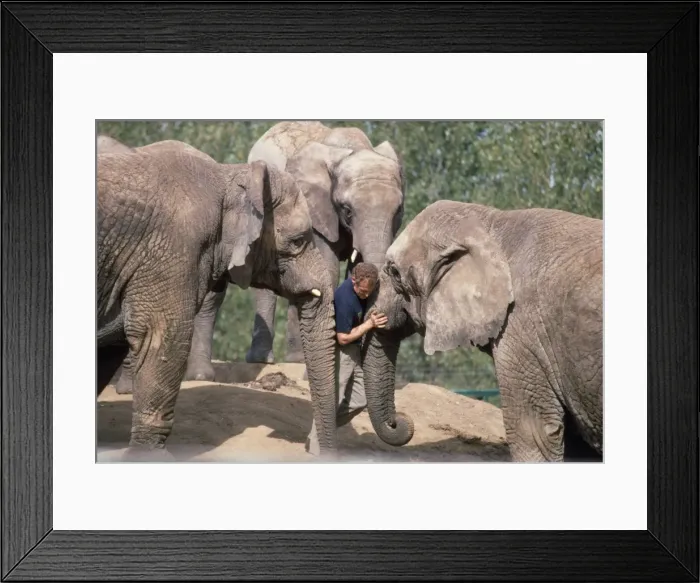 Framed Print : Picture No. 10749841 Framed Print : Picture No. 10749841