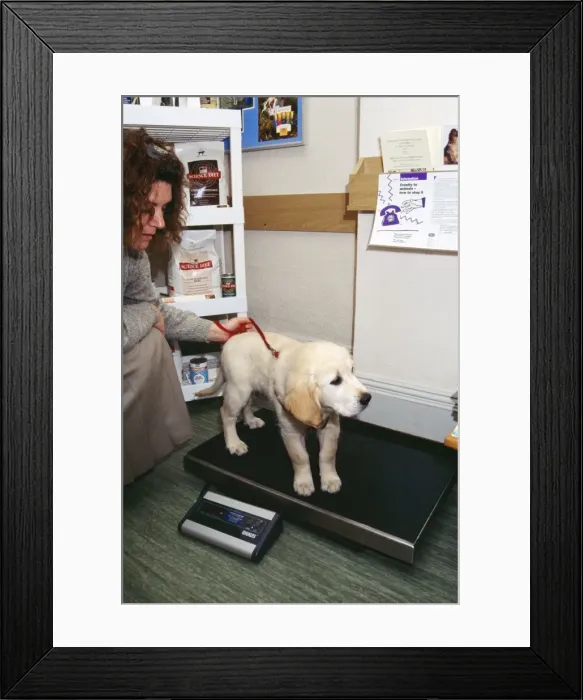 Framed Print : Picture No. 10749927 Framed Print : Picture No. 10749927