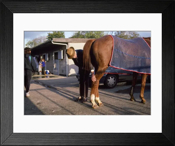 Framed Print : Picture No. 10749853 Framed Print : Picture No. 10749853
