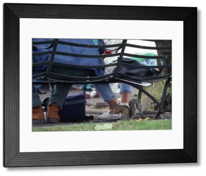 Framed Print : Picture No. 10749864 Framed Print : Picture No. 10749864