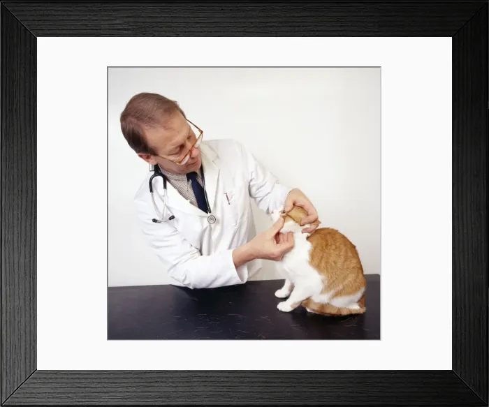 Framed Print : Picture No. 10750163