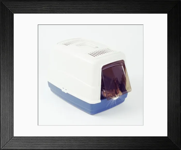 Framed Print : Picture No. 10750168