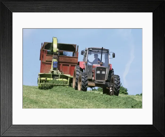 Framed Print : Picture No. 10750100 Framed Print : Picture No. 10750100