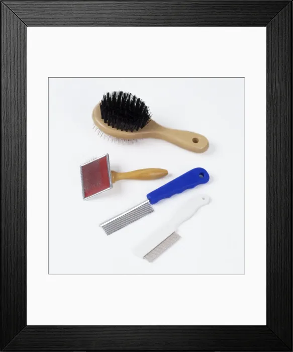 Framed Print : Picture No. 10750164 Framed Print : Picture No. 10750164