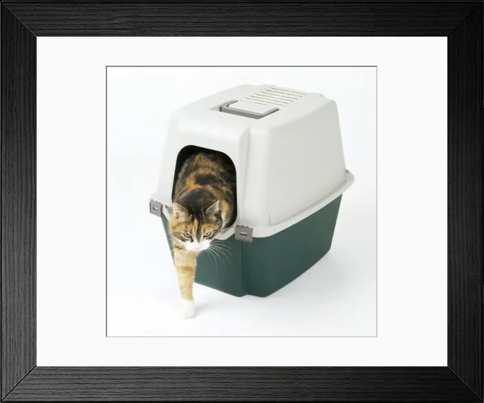 Framed Print : Picture No. 10750167 Framed Print : Picture No. 10750167