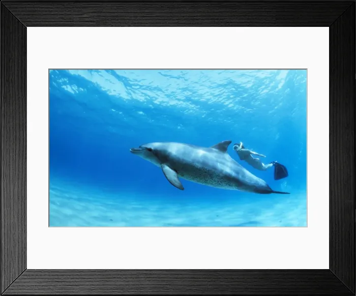 Framed Print : Picture No. 10750246 Framed Print : Picture No. 10750246