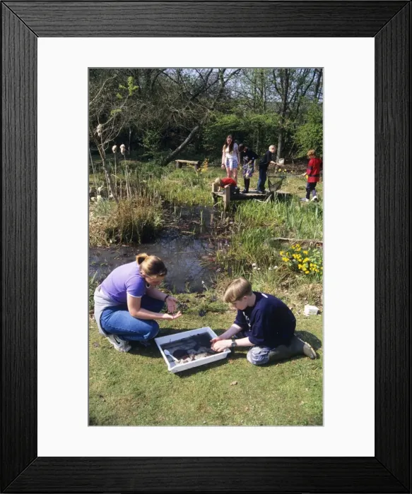 Framed Print : Picture No. 10750093 Framed Print : Picture No. 10750093