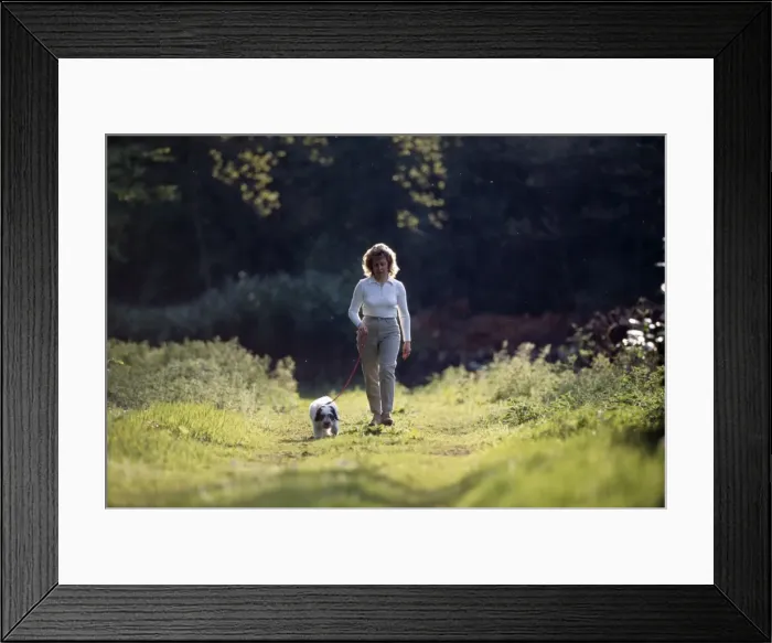 Framed Print : Picture No. 10750189 Framed Print : Picture No. 10750189