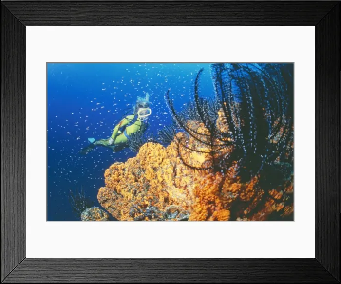 Framed Print : Picture No. 10750283 Framed Print : Picture No. 10750283