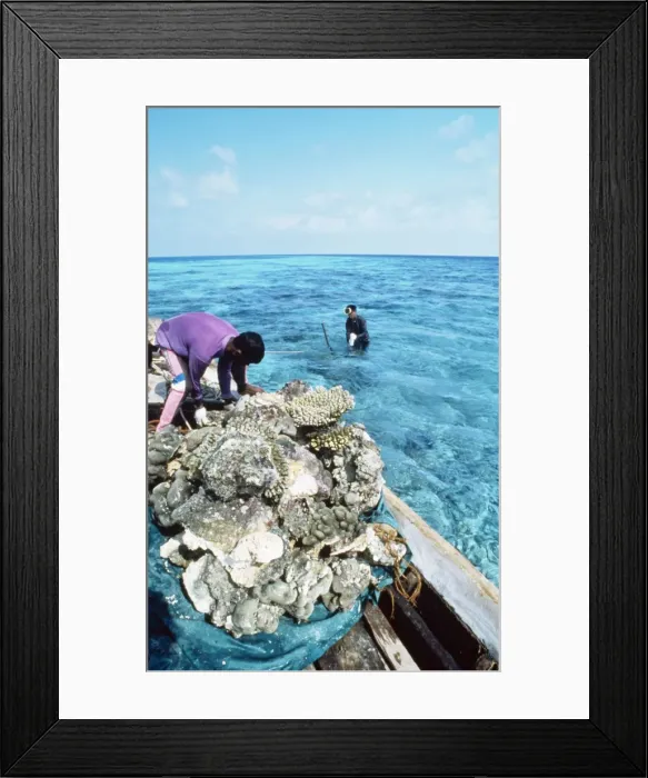 Framed Print : Picture No. 10750264 Framed Print : Picture No. 10750264