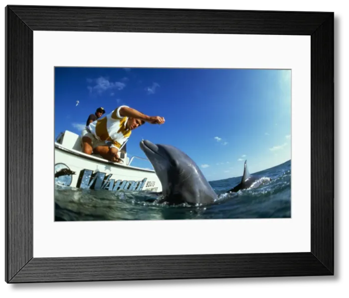 Framed Print : Picture No. 10750274 Framed Print : Picture No. 10750274