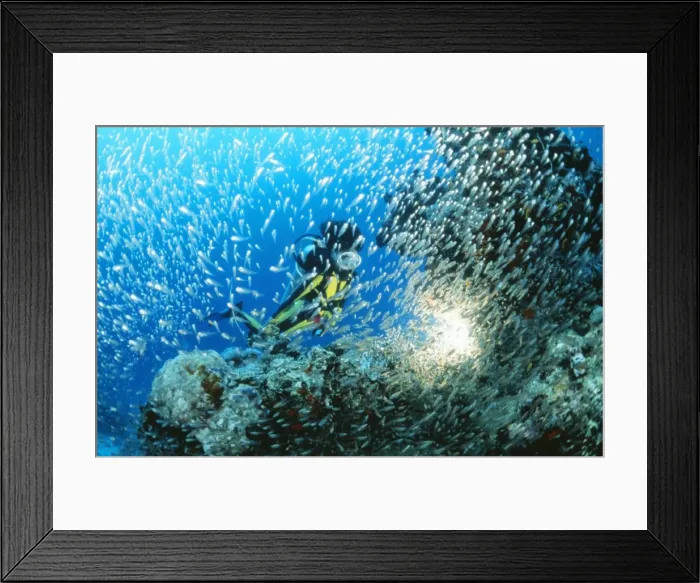 Framed Print : Picture No. 10750287 Framed Print : Picture No. 10750287
