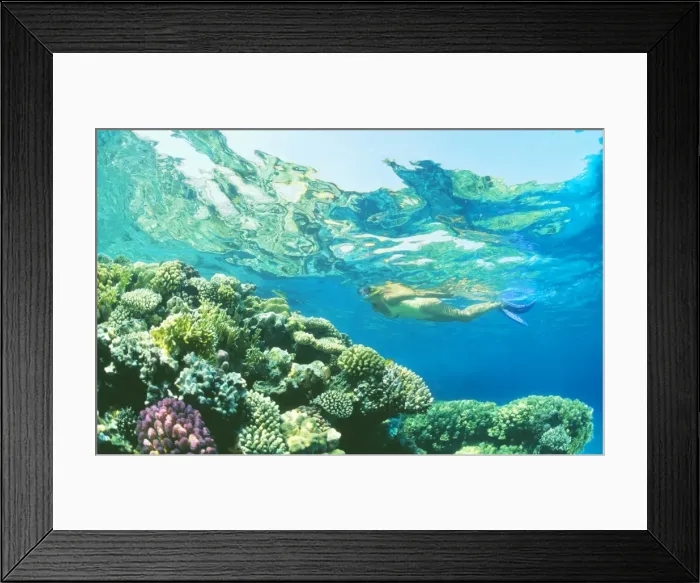 Framed Print : Picture No. 10750284 Framed Print : Picture No. 10750284