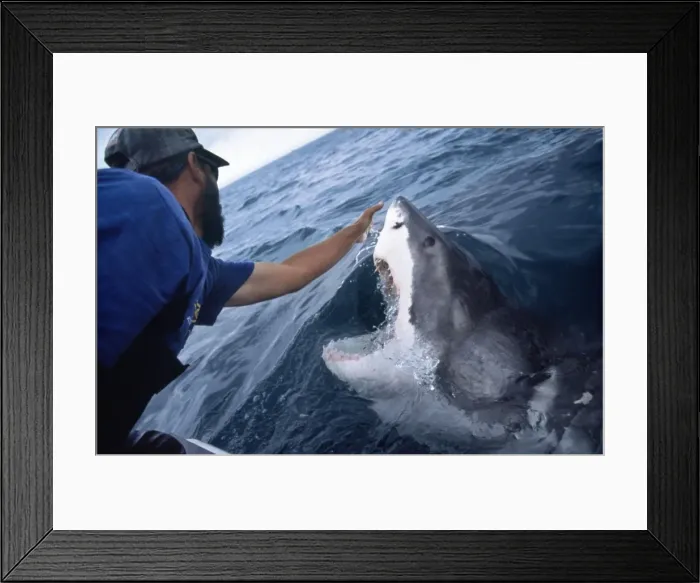 Framed Print : Picture No. 10750296